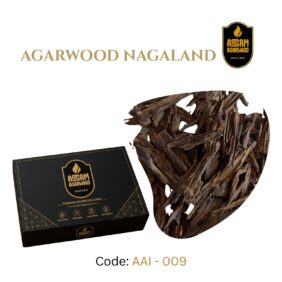 naga_2
